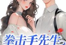 完结版《拳击手先生,轻点宠》章节目录在线阅读-够力荐小说推荐网