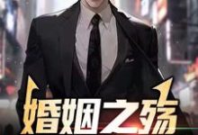 完结版《婚姻之殇：妻子的秘密》章节阅读-够力荐小说推荐网