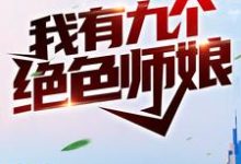 陈玄秦淑仪的故事在哪本书里?免费阅读我有九个绝色师娘-够力荐小说推荐网