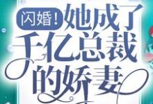 闪婚!她成了千亿总裁的娇妻小说全文哪里可以免费看?-够力荐小说推荐网