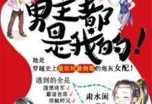 男主都是我的!小说,男主都是我的!夏浅忧陆永烨小白楼夏禹辰-够力荐小说推荐网
