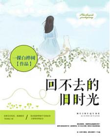 寻找回不去的旧时光小说的最新更新章节