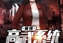男女主人公叫苏晨苗若兰梅芳的小说免费资源-够力荐小说推荐网