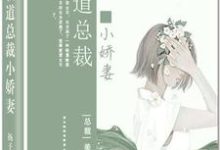 霸道总裁小娇妻陈若希周安良，霸道总裁小娇妻在线无弹窗阅读-够力荐小说推荐网