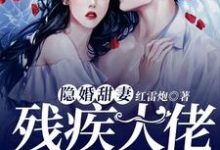 隐婚甜妻,残疾大佬的心尖宠小说有没有完整的免费版本在线阅读?-够力荐小说推荐网