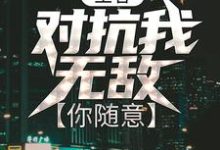 小说《王者：对抗我无敌，你随意》在线章节阅读-够力荐小说推荐网