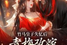 寻找竹马皇子失忆后，青梅改嫁太子了小说的最新更新章节-够力荐小说推荐网