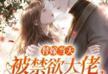 已完结小说《替嫁当天，被禁欲大佬宠到失控》章节在线阅读-够力荐小说推荐网