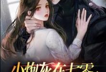 小炮灰在七零,燎的军官宠上天免费阅读,小炮灰在七零,燎的军官宠上天苏茉陆长征-够力荐小说推荐网