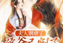 已完结小说《夫人别虐了,侯爷已剜了心头血》在线章节阅读-够力荐小说推荐网