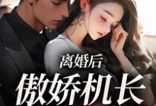 免费在线阅读离婚后,傲娇机长求复合小说的正规网站有哪些?-够力荐小说推荐网