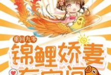 小说《重回九零:锦鲤娇妻有空间》在线章节阅读-够力荐小说推荐网