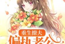 《重生撩夫:偏执老公心肝狂颤》小说章节列表免费试读,岑挽陆北恂小说在线阅读-够力荐小说推荐网