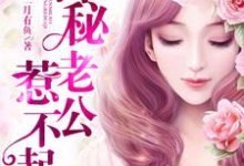 完结版《神秘老公惹不起》章节阅读-够力荐小说推荐网