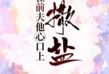 在前夫他心口上撒盐小说最新更新在哪里?免费在线看-够力荐小说推荐网