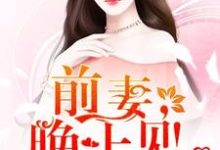 只婚不爱:前妻,晚上见!阮安汐时衍裴景宸,只婚不爱:前妻,晚上见!章节在线阅读-够力荐小说推荐网