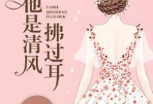 凌惜陆景霆薄懿小说《他是清风拂过耳》在线阅读-够力荐小说推荐网