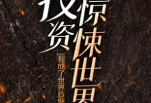 《投资惊悚世界,我成了世界巨擎》小说大结局免费试读 秦诺梦小说-够力荐小说推荐网