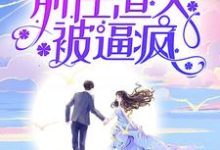 完结版《考大学,嫁小叔,前任渣夫被逼疯》章节阅读-够力荐小说推荐网
