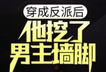 穿成反派后,他挖了男主墙脚小说阅读,穿成反派后,他挖了男主墙脚完结版-够力荐小说推荐网