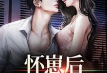 在线寻找怀崽后,公司炸疯了小说的无删减版本-够力荐小说推荐网