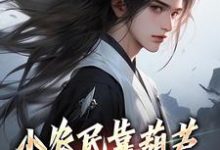 免费在线阅读小农民靠葫芦又种田来又修仙小说的正规网站有哪些？-够力荐小说推荐网
