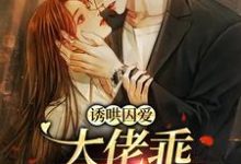 诱哄囚爱:大佬乖,锁链自己缠小说完结版章节免费阅读-够力荐小说推荐网