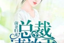 主角夏忆沈默寒楚梦裴俊小说前妻归来:总裁,请放手免费阅读-够力荐小说推荐网