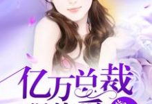 免费阅读舒喻萧冰河为主角的小说,亿万总裁强势爱在线看-够力荐小说推荐网