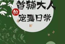 首辅大人的宠妻日常南苏钟离渊小说免费阅读-够力荐小说推荐网