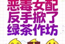 重生后,恶毒女配反手掀了绿茶作坊免费阅读,重生后,恶毒女配反手掀了绿茶作坊贺元鹿裴望-够力荐小说推荐网