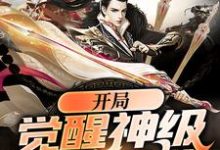 主角叫苏哲楚柔小说开局觉醒神级辅助系统章节免费阅读-够力荐小说推荐网