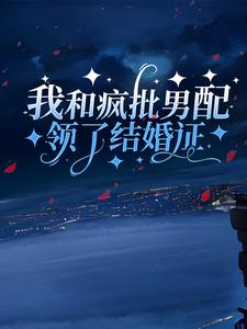 我和疯批男配领了结婚证赵舒意任远山小说在线章节目录阅读最新章节