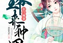 农门辣妻：王爷来种田（林阮萧景宸）在线免费阅读-够力荐小说推荐网