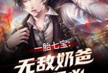 已完结小说《一胎七宝：无敌奶爸超级凶》在线章节阅读-够力荐小说推荐网