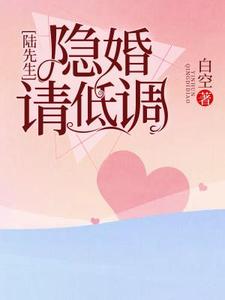 完结版《陆先生，隐婚请低调》章节目录在线阅读