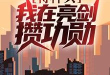 特种兵：我在亮剑攒功勋（叶正阳）在线免费阅读-够力荐小说推荐网