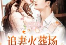 完结版《追妻火葬场!狗男人被虐惨啦》章节阅读-够力荐小说推荐网
