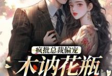 求推荐可以免费阅读疯批总裁偏宠,木讷花瓶太惹眼!小说的网站-够力荐小说推荐网