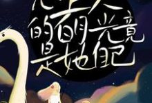 甜宠!心上人的白月光竟是她自己小说无弹窗阅读的网站推荐-够力荐小说推荐网