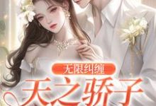 求无限纠缠:天之骄子疯狂爱小说的全文免费阅读链接-够力荐小说推荐网