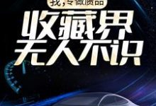 主人公梅九小说我,专做赝品,收藏界无人不识在线章节阅读-够力荐小说推荐网