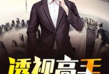 透视高手在都市这本小说完结了吗?免费查看最新章节-够力荐小说推荐网