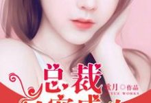 总裁一宠成欢小说最新更新在哪里?免费在线看-够力荐小说推荐网