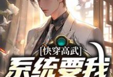 宁风的完整故事在哪里?读快穿高武:系统要我做舔狗小说-够力荐小说推荐网