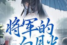 小说《将军的白月光竟是我自己》章节阅读-够力荐小说推荐网