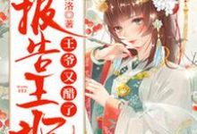 报告王妃,王爷又醋了小说全文阅读需要付费吗?寻找免费资源-够力荐小说推荐网