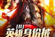 《我,英雄身份被戏子曝光了》小说章节在线试读,《我,英雄身份被戏子曝光了》最新章节目录-够力荐小说推荐网