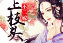 妃上枝头不二嫁小说完结版章节免费阅读-够力荐小说推荐网