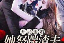 已完结小说《开局退婚,她怒踹渣夫搞事业》章节在线阅读-够力荐小说推荐网